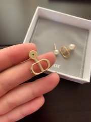 Dior Earrings 03 - 4