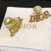 Dior Earrings 04 - 3