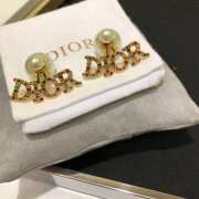 Dior Earrings 04 - 4