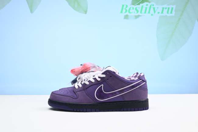 Nike SB Dunk Low Concepts Purple Lobster BV1310-555 - 1