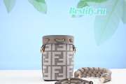 Fendi Mon Tresor Gray FF canvas mini-bag-12*10*18cm - 2