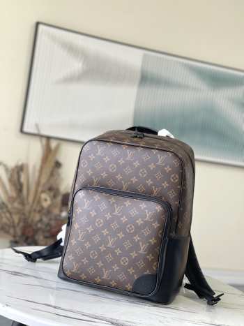 Louis Vuitton Backpack M45335