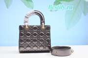 Dior Lady Handbag in Silver 20CM - 2