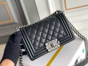 Chanel Small Leboy Bag in Lambskin 20cm - 6