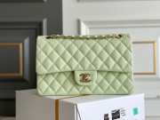 Chanel Medium Caviar Flap Bag in Light Green - 1