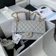 Chanel Medium Caviar Flap Bag in Grey - 1