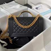 Chanel Medium Leboy Bag 25cm 01 - 5