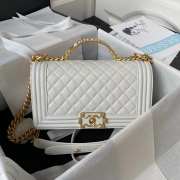 Chanel Medium Leboy Bag 25cm 02 - 1