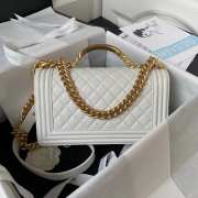 Chanel Medium Leboy Bag 25cm 02 - 3