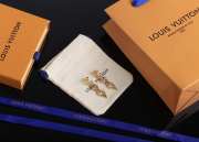 Louis Vuitton Chain Earrings - 4