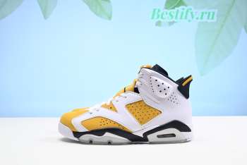 Air Jordan 6 Retro Yellow Ochre CT8529-170