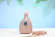 Louis Vuitton Mini Speedy Bag Pink 20CM - 5