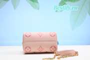 Louis Vuitton Mini Speedy Bag Pink 20CM - 3