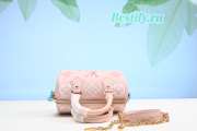 Louis Vuitton Mini Speedy Bag Pink 20CM - 2