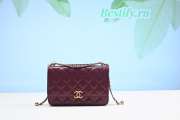 Chanel Calfskin Wallet On Chain Woc Bag 004 19CM - 1