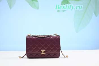 Chanel Calfskin Wallet On Chain Woc Bag 004 19CM