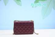 Chanel Calfskin Wallet On Chain Woc Bag 004 19CM - 4