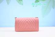 Chanel Leboy Bag 25cm with Gold Hardware Pink - 2