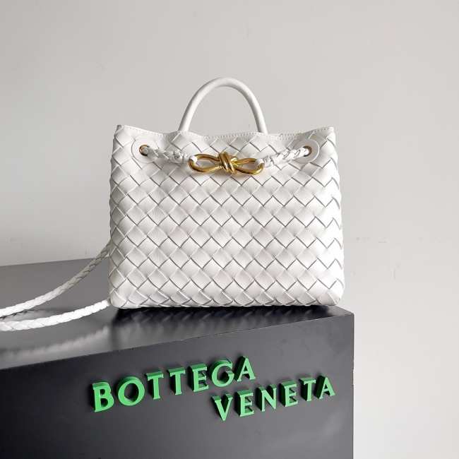 Bottega Veneta Small Andiamo Bag Sea salt 25CM - 1