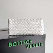 Bottega Veneta Small Andiamo Bag Sea salt 25CM - 3