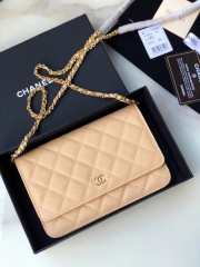 Chanel WOC Beige Bag 19CM - 1