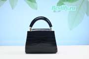 Louis Vuitton Capucines Crocodile Bag 21CM Black - 4