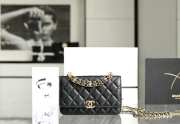 Chanel Clutch with Chain in Black Ap3019  - 1