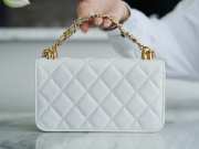 Chanel 22k Mini WOC Bag 17CM White - 3