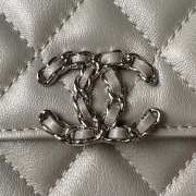 Chanel Handbag in Silver 19CM AP3238  - 2