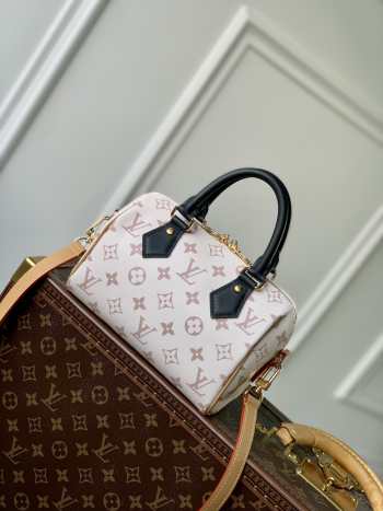 Louis Vuitton Speedy Bandouliere M46906 20CM