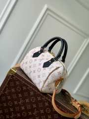 Louis Vuitton Speedy Bandouliere M46906 20CM - 5