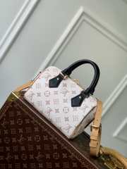 Louis Vuitton Speedy Bandouliere M46906 20CM - 3