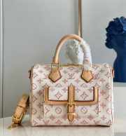 Louis Vuitton Speedy Bandouliere Bag M20919 - 1