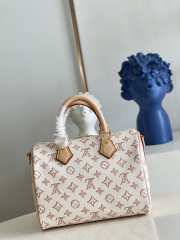 Louis Vuitton Speedy Bandouliere Bag M20919 - 6