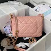 Chanel Messenger Bag in Pink AS4353 - 6