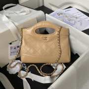 Chanel Mini 31 Bag in Apricot 20.5CM - 1