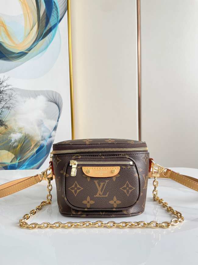 Louis Vuitton Mini Bumbag 17CM - 1