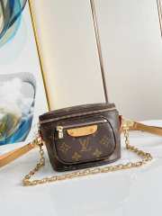 Louis Vuitton Mini Bumbag 17CM - 6