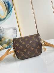 Louis Vuitton Mini Bumbag 17CM - 5