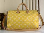 Louis Vuitton Speedy P9 Bandouliere Bag M24419 - 3