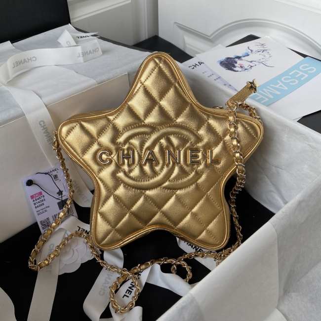 Chanel Star Bag Gold/ Silver 22.5CM - 1