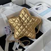 Chanel Star Bag Gold/ Silver 22.5CM - 5