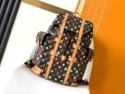 Louis Vuitton Christopher Backpack Bag Brown M25240 - 1