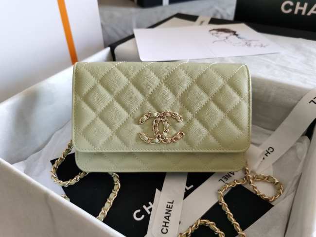 Chanel WOC Bag 29CM Light Green - 1