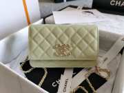 Chanel WOC Bag 29CM Light Green - 1