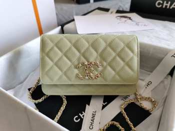 Chanel WOC Bag 29CM Light Green