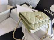 Chanel WOC Bag 29CM Light Green - 6