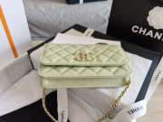 Chanel WOC Bag 29CM Light Green - 5