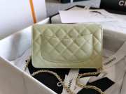 Chanel WOC Bag 29CM Light Green - 4