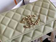 Chanel WOC Bag 29CM Light Green - 2